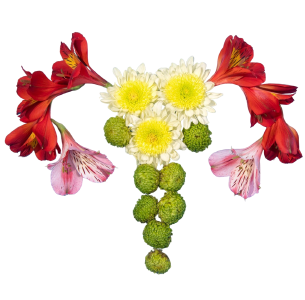 Диагностическая гистероскопия с биопсией