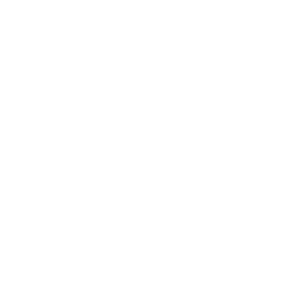 Трубицына <br>Дарья Николаевна