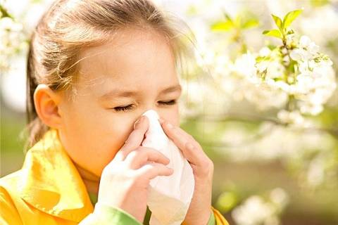 Детские аллергии: чем они отличаются от взрослых?
