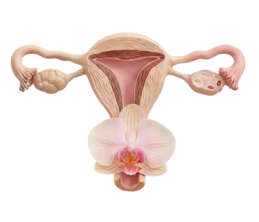 Забота о главном