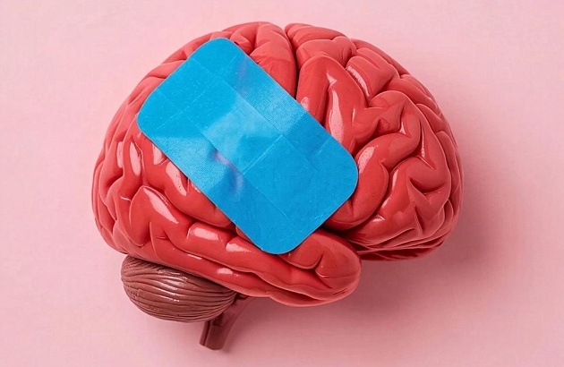 Деменция, болезнь Альцгеймера и другие когнитивные нарушения. Возможно ли на всю жизнь сохранить ясный ум?