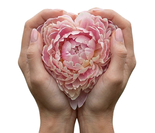 Коррекция больших половых губ препаратом Repart G (2 мл)