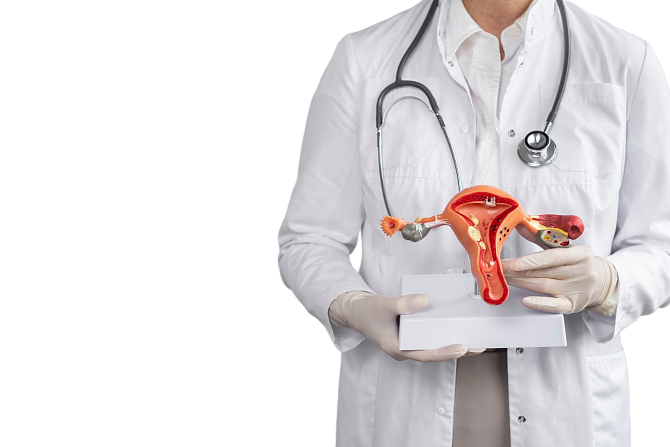 Прием гинеколога + УЗИ малого таза