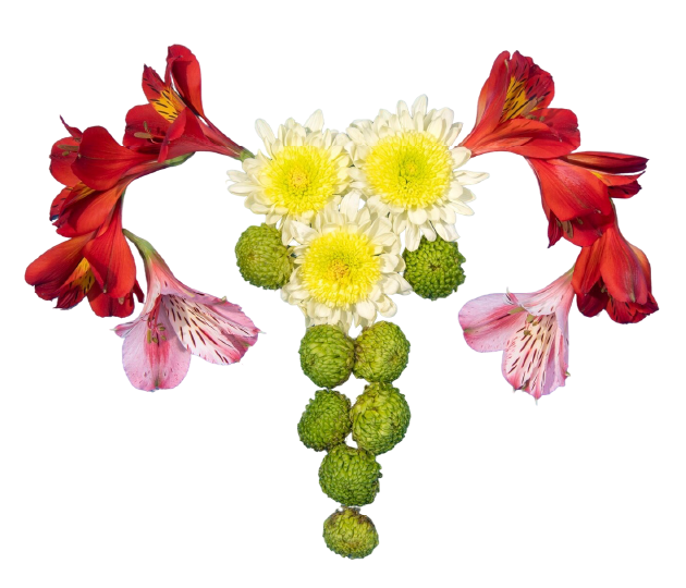 Диагностическая гистероскопия с биопсией